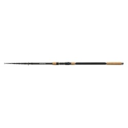 BW Carp Rod Tele